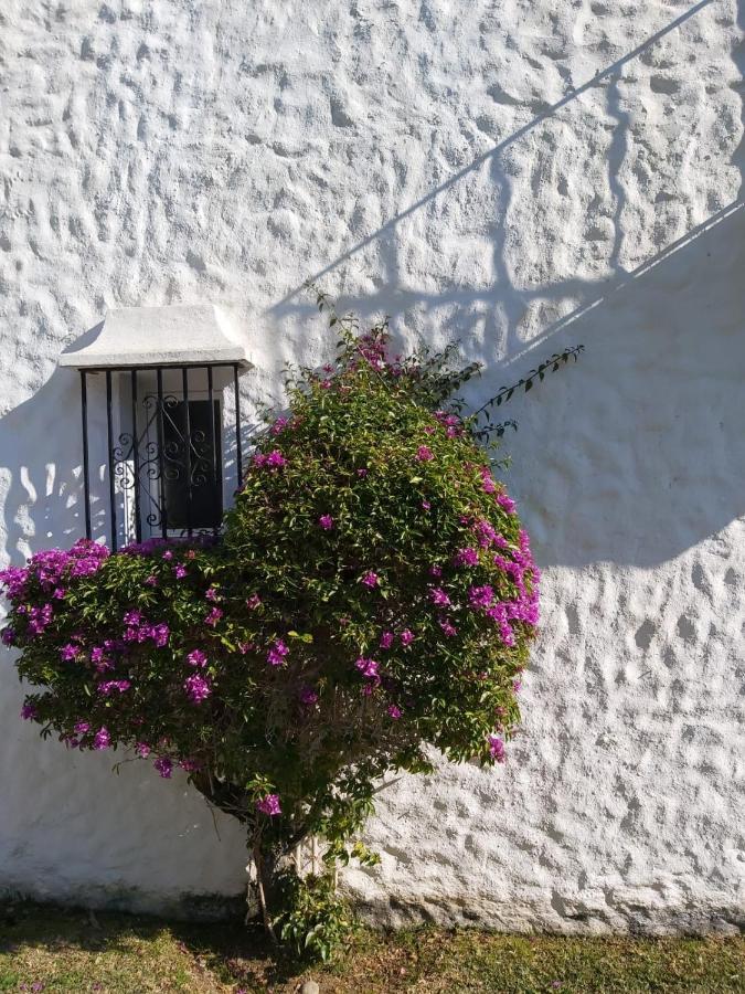 Benamara Gardens, Apartment With Pool, 100M From Beach Near Marbella & Эстепона Экстерьер фото